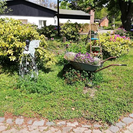 Hasenstall Rehburg-Loccum Exterior foto